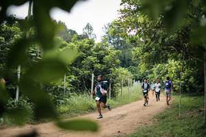 BIB: 
                            <button type="button" onclick="openModal(26823511)" class="btn btn-primary btn-sm float-right btn-popup" data-toggle="modal" data-target=".modal-high-quality">
                        <i class="fas fa-shopping-cart"></i> Add to Cart
                    </button>
                                            <button type="button" onclick="isThisMe(26823511, true)" class="btn btn-success btn-sm float-right btn-popup btn-isme hidden" data-toggle="tooltip" data-placement="bottom" title="นี่คือรูปของคุณใช่ไหม คลิกที่นี่เพื่อเอาเข้าอัลบั้ม">
                        <i class="fas fa-plus"></i> Add to album
                    </button>
                    <button type="button" onclick="isThisMe(26823511, false)" class="btn btn-warning btn-sm float-right btn-popup btn-isnotme hidden">
                        <i class="fas fa-ban"></i> Remove from album
                    </button>