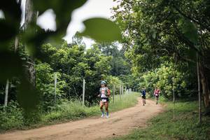 BIB: 
                            <button type="button" onclick="openModal(26826916)" class="btn btn-primary btn-sm float-right btn-popup" data-toggle="modal" data-target=".modal-high-quality">
                        <i class="fas fa-shopping-cart"></i> Add to Cart
                    </button>
                                            <button type="button" onclick="isThisMe(26826916, true)" class="btn btn-success btn-sm float-right btn-popup btn-isme hidden" data-toggle="tooltip" data-placement="bottom" title="นี่คือรูปของคุณใช่ไหม คลิกที่นี่เพื่อเอาเข้าอัลบั้ม">
                        <i class="fas fa-plus"></i> Add to album
                    </button>
                    <button type="button" onclick="isThisMe(26826916, false)" class="btn btn-warning btn-sm float-right btn-popup btn-isnotme hidden">
                        <i class="fas fa-ban"></i> Remove from album
                    </button>