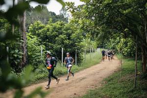 BIB: 
                            <button type="button" onclick="openModal(26828075)" class="btn btn-primary btn-sm float-right btn-popup" data-toggle="modal" data-target=".modal-high-quality">
                        <i class="fas fa-shopping-cart"></i> Add to Cart
                    </button>
                                            <button type="button" onclick="isThisMe(26828075, true)" class="btn btn-success btn-sm float-right btn-popup btn-isme hidden" data-toggle="tooltip" data-placement="bottom" title="นี่คือรูปของคุณใช่ไหม คลิกที่นี่เพื่อเอาเข้าอัลบั้ม">
                        <i class="fas fa-plus"></i> Add to album
                    </button>
                    <button type="button" onclick="isThisMe(26828075, false)" class="btn btn-warning btn-sm float-right btn-popup btn-isnotme hidden">
                        <i class="fas fa-ban"></i> Remove from album
                    </button>