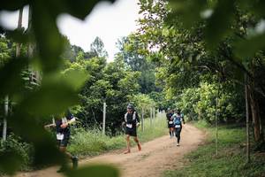 BIB: 
                            <button type="button" onclick="openModal(26823345)" class="btn btn-primary btn-sm float-right btn-popup" data-toggle="modal" data-target=".modal-high-quality">
                        <i class="fas fa-shopping-cart"></i> Add to Cart
                    </button>
                                            <button type="button" onclick="isThisMe(26823345, true)" class="btn btn-success btn-sm float-right btn-popup btn-isme hidden" data-toggle="tooltip" data-placement="bottom" title="นี่คือรูปของคุณใช่ไหม คลิกที่นี่เพื่อเอาเข้าอัลบั้ม">
                        <i class="fas fa-plus"></i> Add to album
                    </button>
                    <button type="button" onclick="isThisMe(26823345, false)" class="btn btn-warning btn-sm float-right btn-popup btn-isnotme hidden">
                        <i class="fas fa-ban"></i> Remove from album
                    </button>