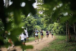 BIB: 
                            <button type="button" onclick="openModal(26822494)" class="btn btn-primary btn-sm float-right btn-popup" data-toggle="modal" data-target=".modal-high-quality">
                        <i class="fas fa-shopping-cart"></i> Add to Cart
                    </button>
                                            <button type="button" onclick="isThisMe(26822494, true)" class="btn btn-success btn-sm float-right btn-popup btn-isme hidden" data-toggle="tooltip" data-placement="bottom" title="นี่คือรูปของคุณใช่ไหม คลิกที่นี่เพื่อเอาเข้าอัลบั้ม">
                        <i class="fas fa-plus"></i> Add to album
                    </button>
                    <button type="button" onclick="isThisMe(26822494, false)" class="btn btn-warning btn-sm float-right btn-popup btn-isnotme hidden">
                        <i class="fas fa-ban"></i> Remove from album
                    </button>