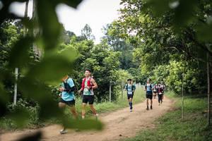 BIB: 
                            <button type="button" onclick="openModal(26823091)" class="btn btn-primary btn-sm float-right btn-popup" data-toggle="modal" data-target=".modal-high-quality">
                        <i class="fas fa-shopping-cart"></i> Add to Cart
                    </button>
                                            <button type="button" onclick="isThisMe(26823091, true)" class="btn btn-success btn-sm float-right btn-popup btn-isme hidden" data-toggle="tooltip" data-placement="bottom" title="นี่คือรูปของคุณใช่ไหม คลิกที่นี่เพื่อเอาเข้าอัลบั้ม">
                        <i class="fas fa-plus"></i> Add to album
                    </button>
                    <button type="button" onclick="isThisMe(26823091, false)" class="btn btn-warning btn-sm float-right btn-popup btn-isnotme hidden">
                        <i class="fas fa-ban"></i> Remove from album
                    </button>