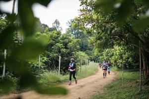 BIB: 
                            <button type="button" onclick="openModal(26822584)" class="btn btn-primary btn-sm float-right btn-popup" data-toggle="modal" data-target=".modal-high-quality">
                        <i class="fas fa-shopping-cart"></i> Add to Cart
                    </button>
                                            <button type="button" onclick="isThisMe(26822584, true)" class="btn btn-success btn-sm float-right btn-popup btn-isme hidden" data-toggle="tooltip" data-placement="bottom" title="นี่คือรูปของคุณใช่ไหม คลิกที่นี่เพื่อเอาเข้าอัลบั้ม">
                        <i class="fas fa-plus"></i> Add to album
                    </button>
                    <button type="button" onclick="isThisMe(26822584, false)" class="btn btn-warning btn-sm float-right btn-popup btn-isnotme hidden">
                        <i class="fas fa-ban"></i> Remove from album
                    </button>