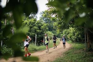 BIB: 
                            <button type="button" onclick="openModal(26824308)" class="btn btn-primary btn-sm float-right btn-popup" data-toggle="modal" data-target=".modal-high-quality">
                        <i class="fas fa-shopping-cart"></i> Add to Cart
                    </button>
                                            <button type="button" onclick="isThisMe(26824308, true)" class="btn btn-success btn-sm float-right btn-popup btn-isme hidden" data-toggle="tooltip" data-placement="bottom" title="นี่คือรูปของคุณใช่ไหม คลิกที่นี่เพื่อเอาเข้าอัลบั้ม">
                        <i class="fas fa-plus"></i> Add to album
                    </button>
                    <button type="button" onclick="isThisMe(26824308, false)" class="btn btn-warning btn-sm float-right btn-popup btn-isnotme hidden">
                        <i class="fas fa-ban"></i> Remove from album
                    </button>