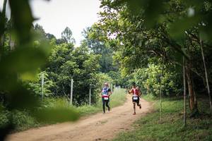 BIB: 
                            <button type="button" onclick="openModal(26821998)" class="btn btn-primary btn-sm float-right btn-popup" data-toggle="modal" data-target=".modal-high-quality">
                        <i class="fas fa-shopping-cart"></i> Add to Cart
                    </button>
                                            <button type="button" onclick="isThisMe(26821998, true)" class="btn btn-success btn-sm float-right btn-popup btn-isme hidden" data-toggle="tooltip" data-placement="bottom" title="นี่คือรูปของคุณใช่ไหม คลิกที่นี่เพื่อเอาเข้าอัลบั้ม">
                        <i class="fas fa-plus"></i> Add to album
                    </button>
                    <button type="button" onclick="isThisMe(26821998, false)" class="btn btn-warning btn-sm float-right btn-popup btn-isnotme hidden">
                        <i class="fas fa-ban"></i> Remove from album
                    </button>