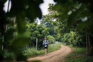 BIB: 
                            <button type="button" onclick="openModal(26833730)" class="btn btn-primary btn-sm float-right btn-popup" data-toggle="modal" data-target=".modal-high-quality">
                        <i class="fas fa-shopping-cart"></i> Add to Cart
                    </button>
                                            <button type="button" onclick="isThisMe(26833730, true)" class="btn btn-success btn-sm float-right btn-popup btn-isme hidden" data-toggle="tooltip" data-placement="bottom" title="นี่คือรูปของคุณใช่ไหม คลิกที่นี่เพื่อเอาเข้าอัลบั้ม">
                        <i class="fas fa-plus"></i> Add to album
                    </button>
                    <button type="button" onclick="isThisMe(26833730, false)" class="btn btn-warning btn-sm float-right btn-popup btn-isnotme hidden">
                        <i class="fas fa-ban"></i> Remove from album
                    </button>