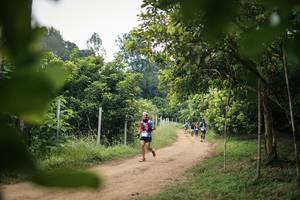 BIB: 
                            <button type="button" onclick="openModal(26821804)" class="btn btn-primary btn-sm float-right btn-popup" data-toggle="modal" data-target=".modal-high-quality">
                        <i class="fas fa-shopping-cart"></i> Add to Cart
                    </button>
                                            <button type="button" onclick="isThisMe(26821804, true)" class="btn btn-success btn-sm float-right btn-popup btn-isme hidden" data-toggle="tooltip" data-placement="bottom" title="นี่คือรูปของคุณใช่ไหม คลิกที่นี่เพื่อเอาเข้าอัลบั้ม">
                        <i class="fas fa-plus"></i> Add to album
                    </button>
                    <button type="button" onclick="isThisMe(26821804, false)" class="btn btn-warning btn-sm float-right btn-popup btn-isnotme hidden">
                        <i class="fas fa-ban"></i> Remove from album
                    </button>