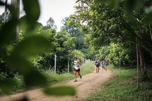 BIB: 
                            <button type="button" onclick="openModal(26827321)" class="btn btn-primary btn-sm float-right btn-popup" data-toggle="modal" data-target=".modal-high-quality">
                        <i class="fas fa-shopping-cart"></i> Add to Cart
                    </button>
                                            <button type="button" onclick="isThisMe(26827321, true)" class="btn btn-success btn-sm float-right btn-popup btn-isme hidden" data-toggle="tooltip" data-placement="bottom" title="นี่คือรูปของคุณใช่ไหม คลิกที่นี่เพื่อเอาเข้าอัลบั้ม">
                        <i class="fas fa-plus"></i> Add to album
                    </button>
                    <button type="button" onclick="isThisMe(26827321, false)" class="btn btn-warning btn-sm float-right btn-popup btn-isnotme hidden">
                        <i class="fas fa-ban"></i> Remove from album
                    </button>