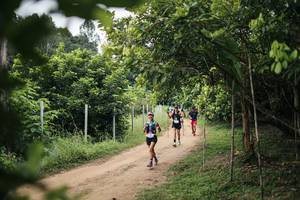 BIB: 
                            <button type="button" onclick="openModal(26821105)" class="btn btn-primary btn-sm float-right btn-popup" data-toggle="modal" data-target=".modal-high-quality">
                        <i class="fas fa-shopping-cart"></i> Add to Cart
                    </button>
                                            <button type="button" onclick="isThisMe(26821105, true)" class="btn btn-success btn-sm float-right btn-popup btn-isme hidden" data-toggle="tooltip" data-placement="bottom" title="นี่คือรูปของคุณใช่ไหม คลิกที่นี่เพื่อเอาเข้าอัลบั้ม">
                        <i class="fas fa-plus"></i> Add to album
                    </button>
                    <button type="button" onclick="isThisMe(26821105, false)" class="btn btn-warning btn-sm float-right btn-popup btn-isnotme hidden">
                        <i class="fas fa-ban"></i> Remove from album
                    </button>