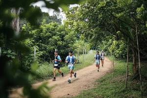 BIB: 
                            <button type="button" onclick="openModal(26830223)" class="btn btn-primary btn-sm float-right btn-popup" data-toggle="modal" data-target=".modal-high-quality">
                        <i class="fas fa-shopping-cart"></i> Add to Cart
                    </button>
                                            <button type="button" onclick="isThisMe(26830223, true)" class="btn btn-success btn-sm float-right btn-popup btn-isme hidden" data-toggle="tooltip" data-placement="bottom" title="นี่คือรูปของคุณใช่ไหม คลิกที่นี่เพื่อเอาเข้าอัลบั้ม">
                        <i class="fas fa-plus"></i> Add to album
                    </button>
                    <button type="button" onclick="isThisMe(26830223, false)" class="btn btn-warning btn-sm float-right btn-popup btn-isnotme hidden">
                        <i class="fas fa-ban"></i> Remove from album
                    </button>