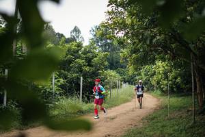 BIB: 
                            <button type="button" onclick="openModal(26822128)" class="btn btn-primary btn-sm float-right btn-popup" data-toggle="modal" data-target=".modal-high-quality">
                        <i class="fas fa-shopping-cart"></i> Add to Cart
                    </button>
                                            <button type="button" onclick="isThisMe(26822128, true)" class="btn btn-success btn-sm float-right btn-popup btn-isme hidden" data-toggle="tooltip" data-placement="bottom" title="นี่คือรูปของคุณใช่ไหม คลิกที่นี่เพื่อเอาเข้าอัลบั้ม">
                        <i class="fas fa-plus"></i> Add to album
                    </button>
                    <button type="button" onclick="isThisMe(26822128, false)" class="btn btn-warning btn-sm float-right btn-popup btn-isnotme hidden">
                        <i class="fas fa-ban"></i> Remove from album
                    </button>