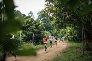 BIB: 
                            <button type="button" onclick="openModal(26822114)" class="btn btn-primary btn-sm float-right btn-popup" data-toggle="modal" data-target=".modal-high-quality">
                        <i class="fas fa-shopping-cart"></i> Add to Cart
                    </button>
                                            <button type="button" onclick="isThisMe(26822114, true)" class="btn btn-success btn-sm float-right btn-popup btn-isme hidden" data-toggle="tooltip" data-placement="bottom" title="นี่คือรูปของคุณใช่ไหม คลิกที่นี่เพื่อเอาเข้าอัลบั้ม">
                        <i class="fas fa-plus"></i> Add to album
                    </button>
                    <button type="button" onclick="isThisMe(26822114, false)" class="btn btn-warning btn-sm float-right btn-popup btn-isnotme hidden">
                        <i class="fas fa-ban"></i> Remove from album
                    </button>