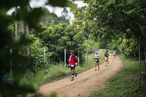 BIB: 
                            <button type="button" onclick="openModal(26827669)" class="btn btn-primary btn-sm float-right btn-popup" data-toggle="modal" data-target=".modal-high-quality">
                        <i class="fas fa-shopping-cart"></i> Add to Cart
                    </button>
                                            <button type="button" onclick="isThisMe(26827669, true)" class="btn btn-success btn-sm float-right btn-popup btn-isme hidden" data-toggle="tooltip" data-placement="bottom" title="นี่คือรูปของคุณใช่ไหม คลิกที่นี่เพื่อเอาเข้าอัลบั้ม">
                        <i class="fas fa-plus"></i> Add to album
                    </button>
                    <button type="button" onclick="isThisMe(26827669, false)" class="btn btn-warning btn-sm float-right btn-popup btn-isnotme hidden">
                        <i class="fas fa-ban"></i> Remove from album
                    </button>