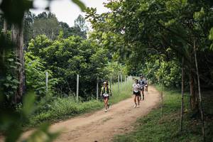 BIB: 
                            <button type="button" onclick="openModal(26828468)" class="btn btn-primary btn-sm float-right btn-popup" data-toggle="modal" data-target=".modal-high-quality">
                        <i class="fas fa-shopping-cart"></i> Add to Cart
                    </button>
                                            <button type="button" onclick="isThisMe(26828468, true)" class="btn btn-success btn-sm float-right btn-popup btn-isme hidden" data-toggle="tooltip" data-placement="bottom" title="นี่คือรูปของคุณใช่ไหม คลิกที่นี่เพื่อเอาเข้าอัลบั้ม">
                        <i class="fas fa-plus"></i> Add to album
                    </button>
                    <button type="button" onclick="isThisMe(26828468, false)" class="btn btn-warning btn-sm float-right btn-popup btn-isnotme hidden">
                        <i class="fas fa-ban"></i> Remove from album
                    </button>