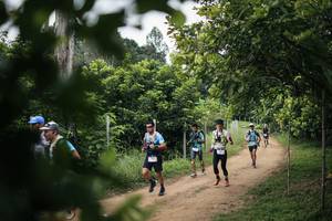 BIB: 
                            <button type="button" onclick="openModal(26828648)" class="btn btn-primary btn-sm float-right btn-popup" data-toggle="modal" data-target=".modal-high-quality">
                        <i class="fas fa-shopping-cart"></i> Add to Cart
                    </button>
                                            <button type="button" onclick="isThisMe(26828648, true)" class="btn btn-success btn-sm float-right btn-popup btn-isme hidden" data-toggle="tooltip" data-placement="bottom" title="นี่คือรูปของคุณใช่ไหม คลิกที่นี่เพื่อเอาเข้าอัลบั้ม">
                        <i class="fas fa-plus"></i> Add to album
                    </button>
                    <button type="button" onclick="isThisMe(26828648, false)" class="btn btn-warning btn-sm float-right btn-popup btn-isnotme hidden">
                        <i class="fas fa-ban"></i> Remove from album
                    </button>