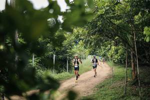 BIB: 
                            <button type="button" onclick="openModal(26830369)" class="btn btn-primary btn-sm float-right btn-popup" data-toggle="modal" data-target=".modal-high-quality">
                        <i class="fas fa-shopping-cart"></i> Add to Cart
                    </button>
                                            <button type="button" onclick="isThisMe(26830369, true)" class="btn btn-success btn-sm float-right btn-popup btn-isme hidden" data-toggle="tooltip" data-placement="bottom" title="นี่คือรูปของคุณใช่ไหม คลิกที่นี่เพื่อเอาเข้าอัลบั้ม">
                        <i class="fas fa-plus"></i> Add to album
                    </button>
                    <button type="button" onclick="isThisMe(26830369, false)" class="btn btn-warning btn-sm float-right btn-popup btn-isnotme hidden">
                        <i class="fas fa-ban"></i> Remove from album
                    </button>