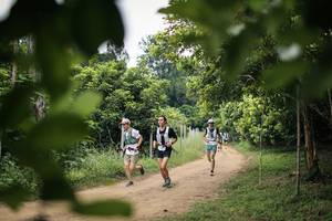 BIB: 
                            <button type="button" onclick="openModal(26823767)" class="btn btn-primary btn-sm float-right btn-popup" data-toggle="modal" data-target=".modal-high-quality">
                        <i class="fas fa-shopping-cart"></i> Add to Cart
                    </button>
                                            <button type="button" onclick="isThisMe(26823767, true)" class="btn btn-success btn-sm float-right btn-popup btn-isme hidden" data-toggle="tooltip" data-placement="bottom" title="นี่คือรูปของคุณใช่ไหม คลิกที่นี่เพื่อเอาเข้าอัลบั้ม">
                        <i class="fas fa-plus"></i> Add to album
                    </button>
                    <button type="button" onclick="isThisMe(26823767, false)" class="btn btn-warning btn-sm float-right btn-popup btn-isnotme hidden">
                        <i class="fas fa-ban"></i> Remove from album
                    </button>