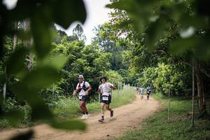 BIB: 
                            <button type="button" onclick="openModal(26824247)" class="btn btn-primary btn-sm float-right btn-popup" data-toggle="modal" data-target=".modal-high-quality">
                        <i class="fas fa-shopping-cart"></i> Add to Cart
                    </button>
                                            <button type="button" onclick="isThisMe(26824247, true)" class="btn btn-success btn-sm float-right btn-popup btn-isme hidden" data-toggle="tooltip" data-placement="bottom" title="นี่คือรูปของคุณใช่ไหม คลิกที่นี่เพื่อเอาเข้าอัลบั้ม">
                        <i class="fas fa-plus"></i> Add to album
                    </button>
                    <button type="button" onclick="isThisMe(26824247, false)" class="btn btn-warning btn-sm float-right btn-popup btn-isnotme hidden">
                        <i class="fas fa-ban"></i> Remove from album
                    </button>