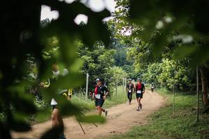 BIB: 
                            <button type="button" onclick="openModal(26821526)" class="btn btn-primary btn-sm float-right btn-popup" data-toggle="modal" data-target=".modal-high-quality">
                        <i class="fas fa-shopping-cart"></i> Add to Cart
                    </button>
                                            <button type="button" onclick="isThisMe(26821526, true)" class="btn btn-success btn-sm float-right btn-popup btn-isme hidden" data-toggle="tooltip" data-placement="bottom" title="นี่คือรูปของคุณใช่ไหม คลิกที่นี่เพื่อเอาเข้าอัลบั้ม">
                        <i class="fas fa-plus"></i> Add to album
                    </button>
                    <button type="button" onclick="isThisMe(26821526, false)" class="btn btn-warning btn-sm float-right btn-popup btn-isnotme hidden">
                        <i class="fas fa-ban"></i> Remove from album
                    </button>