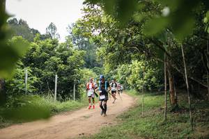 BIB: 
                            <button type="button" onclick="openModal(26822234)" class="btn btn-primary btn-sm float-right btn-popup" data-toggle="modal" data-target=".modal-high-quality">
                        <i class="fas fa-shopping-cart"></i> Add to Cart
                    </button>
                                            <button type="button" onclick="isThisMe(26822234, true)" class="btn btn-success btn-sm float-right btn-popup btn-isme hidden" data-toggle="tooltip" data-placement="bottom" title="นี่คือรูปของคุณใช่ไหม คลิกที่นี่เพื่อเอาเข้าอัลบั้ม">
                        <i class="fas fa-plus"></i> Add to album
                    </button>
                    <button type="button" onclick="isThisMe(26822234, false)" class="btn btn-warning btn-sm float-right btn-popup btn-isnotme hidden">
                        <i class="fas fa-ban"></i> Remove from album
                    </button>