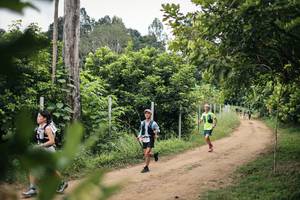 BIB: 
                            <button type="button" onclick="openModal(26828135)" class="btn btn-primary btn-sm float-right btn-popup" data-toggle="modal" data-target=".modal-high-quality">
                        <i class="fas fa-shopping-cart"></i> Add to Cart
                    </button>
                                            <button type="button" onclick="isThisMe(26828135, true)" class="btn btn-success btn-sm float-right btn-popup btn-isme hidden" data-toggle="tooltip" data-placement="bottom" title="นี่คือรูปของคุณใช่ไหม คลิกที่นี่เพื่อเอาเข้าอัลบั้ม">
                        <i class="fas fa-plus"></i> Add to album
                    </button>
                    <button type="button" onclick="isThisMe(26828135, false)" class="btn btn-warning btn-sm float-right btn-popup btn-isnotme hidden">
                        <i class="fas fa-ban"></i> Remove from album
                    </button>