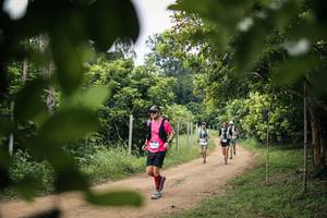 BIB: 
                            <button type="button" onclick="openModal(26823773)" class="btn btn-primary btn-sm float-right btn-popup" data-toggle="modal" data-target=".modal-high-quality">
                        <i class="fas fa-shopping-cart"></i> Add to Cart
                    </button>
                                            <button type="button" onclick="isThisMe(26823773, true)" class="btn btn-success btn-sm float-right btn-popup btn-isme hidden" data-toggle="tooltip" data-placement="bottom" title="นี่คือรูปของคุณใช่ไหม คลิกที่นี่เพื่อเอาเข้าอัลบั้ม">
                        <i class="fas fa-plus"></i> Add to album
                    </button>
                    <button type="button" onclick="isThisMe(26823773, false)" class="btn btn-warning btn-sm float-right btn-popup btn-isnotme hidden">
                        <i class="fas fa-ban"></i> Remove from album
                    </button>