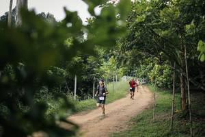 BIB: 
                            <button type="button" onclick="openModal(26821111)" class="btn btn-primary btn-sm float-right btn-popup" data-toggle="modal" data-target=".modal-high-quality">
                        <i class="fas fa-shopping-cart"></i> Add to Cart
                    </button>
                                            <button type="button" onclick="isThisMe(26821111, true)" class="btn btn-success btn-sm float-right btn-popup btn-isme hidden" data-toggle="tooltip" data-placement="bottom" title="นี่คือรูปของคุณใช่ไหม คลิกที่นี่เพื่อเอาเข้าอัลบั้ม">
                        <i class="fas fa-plus"></i> Add to album
                    </button>
                    <button type="button" onclick="isThisMe(26821111, false)" class="btn btn-warning btn-sm float-right btn-popup btn-isnotme hidden">
                        <i class="fas fa-ban"></i> Remove from album
                    </button>