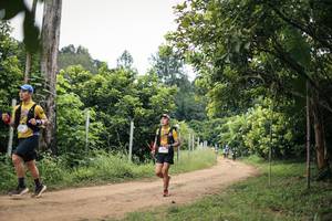 BIB: 
                            <button type="button" onclick="openModal(26823243)" class="btn btn-primary btn-sm float-right btn-popup" data-toggle="modal" data-target=".modal-high-quality">
                        <i class="fas fa-shopping-cart"></i> Add to Cart
                    </button>
                                            <button type="button" onclick="isThisMe(26823243, true)" class="btn btn-success btn-sm float-right btn-popup btn-isme hidden" data-toggle="tooltip" data-placement="bottom" title="นี่คือรูปของคุณใช่ไหม คลิกที่นี่เพื่อเอาเข้าอัลบั้ม">
                        <i class="fas fa-plus"></i> Add to album
                    </button>
                    <button type="button" onclick="isThisMe(26823243, false)" class="btn btn-warning btn-sm float-right btn-popup btn-isnotme hidden">
                        <i class="fas fa-ban"></i> Remove from album
                    </button>