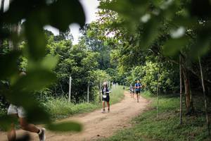 BIB: 
                            <button type="button" onclick="openModal(26824541)" class="btn btn-primary btn-sm float-right btn-popup" data-toggle="modal" data-target=".modal-high-quality">
                        <i class="fas fa-shopping-cart"></i> Add to Cart
                    </button>
                                            <button type="button" onclick="isThisMe(26824541, true)" class="btn btn-success btn-sm float-right btn-popup btn-isme hidden" data-toggle="tooltip" data-placement="bottom" title="นี่คือรูปของคุณใช่ไหม คลิกที่นี่เพื่อเอาเข้าอัลบั้ม">
                        <i class="fas fa-plus"></i> Add to album
                    </button>
                    <button type="button" onclick="isThisMe(26824541, false)" class="btn btn-warning btn-sm float-right btn-popup btn-isnotme hidden">
                        <i class="fas fa-ban"></i> Remove from album
                    </button>