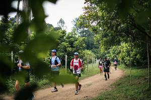 BIB: 
                            <button type="button" onclick="openModal(26821843)" class="btn btn-primary btn-sm float-right btn-popup" data-toggle="modal" data-target=".modal-high-quality">
                        <i class="fas fa-shopping-cart"></i> Add to Cart
                    </button>
                                            <button type="button" onclick="isThisMe(26821843, true)" class="btn btn-success btn-sm float-right btn-popup btn-isme hidden" data-toggle="tooltip" data-placement="bottom" title="นี่คือรูปของคุณใช่ไหม คลิกที่นี่เพื่อเอาเข้าอัลบั้ม">
                        <i class="fas fa-plus"></i> Add to album
                    </button>
                    <button type="button" onclick="isThisMe(26821843, false)" class="btn btn-warning btn-sm float-right btn-popup btn-isnotme hidden">
                        <i class="fas fa-ban"></i> Remove from album
                    </button>