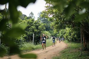 BIB: 
                            <button type="button" onclick="openModal(26823474)" class="btn btn-primary btn-sm float-right btn-popup" data-toggle="modal" data-target=".modal-high-quality">
                        <i class="fas fa-shopping-cart"></i> Add to Cart
                    </button>
                                            <button type="button" onclick="isThisMe(26823474, true)" class="btn btn-success btn-sm float-right btn-popup btn-isme hidden" data-toggle="tooltip" data-placement="bottom" title="นี่คือรูปของคุณใช่ไหม คลิกที่นี่เพื่อเอาเข้าอัลบั้ม">
                        <i class="fas fa-plus"></i> Add to album
                    </button>
                    <button type="button" onclick="isThisMe(26823474, false)" class="btn btn-warning btn-sm float-right btn-popup btn-isnotme hidden">
                        <i class="fas fa-ban"></i> Remove from album
                    </button>