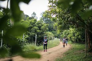 BIB: 
                            <button type="button" onclick="openModal(26822583)" class="btn btn-primary btn-sm float-right btn-popup" data-toggle="modal" data-target=".modal-high-quality">
                        <i class="fas fa-shopping-cart"></i> Add to Cart
                    </button>
                                            <button type="button" onclick="isThisMe(26822583, true)" class="btn btn-success btn-sm float-right btn-popup btn-isme hidden" data-toggle="tooltip" data-placement="bottom" title="นี่คือรูปของคุณใช่ไหม คลิกที่นี่เพื่อเอาเข้าอัลบั้ม">
                        <i class="fas fa-plus"></i> Add to album
                    </button>
                    <button type="button" onclick="isThisMe(26822583, false)" class="btn btn-warning btn-sm float-right btn-popup btn-isnotme hidden">
                        <i class="fas fa-ban"></i> Remove from album
                    </button>