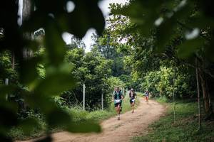 BIB: 
                            <button type="button" onclick="openModal(26834157)" class="btn btn-primary btn-sm float-right btn-popup" data-toggle="modal" data-target=".modal-high-quality">
                        <i class="fas fa-shopping-cart"></i> Add to Cart
                    </button>
                                            <button type="button" onclick="isThisMe(26834157, true)" class="btn btn-success btn-sm float-right btn-popup btn-isme hidden" data-toggle="tooltip" data-placement="bottom" title="นี่คือรูปของคุณใช่ไหม คลิกที่นี่เพื่อเอาเข้าอัลบั้ม">
                        <i class="fas fa-plus"></i> Add to album
                    </button>
                    <button type="button" onclick="isThisMe(26834157, false)" class="btn btn-warning btn-sm float-right btn-popup btn-isnotme hidden">
                        <i class="fas fa-ban"></i> Remove from album
                    </button>