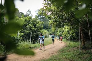 BIB: 
                            <button type="button" onclick="openModal(26823181)" class="btn btn-primary btn-sm float-right btn-popup" data-toggle="modal" data-target=".modal-high-quality">
                        <i class="fas fa-shopping-cart"></i> Add to Cart
                    </button>
                                            <button type="button" onclick="isThisMe(26823181, true)" class="btn btn-success btn-sm float-right btn-popup btn-isme hidden" data-toggle="tooltip" data-placement="bottom" title="นี่คือรูปของคุณใช่ไหม คลิกที่นี่เพื่อเอาเข้าอัลบั้ม">
                        <i class="fas fa-plus"></i> Add to album
                    </button>
                    <button type="button" onclick="isThisMe(26823181, false)" class="btn btn-warning btn-sm float-right btn-popup btn-isnotme hidden">
                        <i class="fas fa-ban"></i> Remove from album
                    </button>