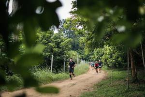 BIB: 
                            <button type="button" onclick="openModal(26824061)" class="btn btn-primary btn-sm float-right btn-popup" data-toggle="modal" data-target=".modal-high-quality">
                        <i class="fas fa-shopping-cart"></i> Add to Cart
                    </button>
                                            <button type="button" onclick="isThisMe(26824061, true)" class="btn btn-success btn-sm float-right btn-popup btn-isme hidden" data-toggle="tooltip" data-placement="bottom" title="นี่คือรูปของคุณใช่ไหม คลิกที่นี่เพื่อเอาเข้าอัลบั้ม">
                        <i class="fas fa-plus"></i> Add to album
                    </button>
                    <button type="button" onclick="isThisMe(26824061, false)" class="btn btn-warning btn-sm float-right btn-popup btn-isnotme hidden">
                        <i class="fas fa-ban"></i> Remove from album
                    </button>