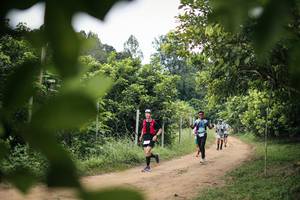 BIB: 
                            <button type="button" onclick="openModal(26824230)" class="btn btn-primary btn-sm float-right btn-popup" data-toggle="modal" data-target=".modal-high-quality">
                        <i class="fas fa-shopping-cart"></i> Add to Cart
                    </button>
                                            <button type="button" onclick="isThisMe(26824230, true)" class="btn btn-success btn-sm float-right btn-popup btn-isme hidden" data-toggle="tooltip" data-placement="bottom" title="นี่คือรูปของคุณใช่ไหม คลิกที่นี่เพื่อเอาเข้าอัลบั้ม">
                        <i class="fas fa-plus"></i> Add to album
                    </button>
                    <button type="button" onclick="isThisMe(26824230, false)" class="btn btn-warning btn-sm float-right btn-popup btn-isnotme hidden">
                        <i class="fas fa-ban"></i> Remove from album
                    </button>