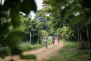 BIB: 
                            <button type="button" onclick="openModal(26824643)" class="btn btn-primary btn-sm float-right btn-popup" data-toggle="modal" data-target=".modal-high-quality">
                        <i class="fas fa-shopping-cart"></i> Add to Cart
                    </button>
                                            <button type="button" onclick="isThisMe(26824643, true)" class="btn btn-success btn-sm float-right btn-popup btn-isme hidden" data-toggle="tooltip" data-placement="bottom" title="นี่คือรูปของคุณใช่ไหม คลิกที่นี่เพื่อเอาเข้าอัลบั้ม">
                        <i class="fas fa-plus"></i> Add to album
                    </button>
                    <button type="button" onclick="isThisMe(26824643, false)" class="btn btn-warning btn-sm float-right btn-popup btn-isnotme hidden">
                        <i class="fas fa-ban"></i> Remove from album
                    </button>