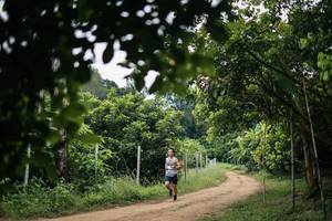 BIB: 
                            <button type="button" onclick="openModal(26834519)" class="btn btn-primary btn-sm float-right btn-popup" data-toggle="modal" data-target=".modal-high-quality">
                        <i class="fas fa-shopping-cart"></i> Add to Cart
                    </button>
                                            <button type="button" onclick="isThisMe(26834519, true)" class="btn btn-success btn-sm float-right btn-popup btn-isme hidden" data-toggle="tooltip" data-placement="bottom" title="นี่คือรูปของคุณใช่ไหม คลิกที่นี่เพื่อเอาเข้าอัลบั้ม">
                        <i class="fas fa-plus"></i> Add to album
                    </button>
                    <button type="button" onclick="isThisMe(26834519, false)" class="btn btn-warning btn-sm float-right btn-popup btn-isnotme hidden">
                        <i class="fas fa-ban"></i> Remove from album
                    </button>