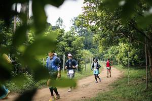 BIB: 
                            <button type="button" onclick="openModal(26821869)" class="btn btn-primary btn-sm float-right btn-popup" data-toggle="modal" data-target=".modal-high-quality">
                        <i class="fas fa-shopping-cart"></i> Add to Cart
                    </button>
                                            <button type="button" onclick="isThisMe(26821869, true)" class="btn btn-success btn-sm float-right btn-popup btn-isme hidden" data-toggle="tooltip" data-placement="bottom" title="นี่คือรูปของคุณใช่ไหม คลิกที่นี่เพื่อเอาเข้าอัลบั้ม">
                        <i class="fas fa-plus"></i> Add to album
                    </button>
                    <button type="button" onclick="isThisMe(26821869, false)" class="btn btn-warning btn-sm float-right btn-popup btn-isnotme hidden">
                        <i class="fas fa-ban"></i> Remove from album
                    </button>