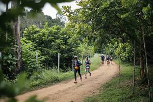 BIB: 
                            <button type="button" onclick="openModal(26828096)" class="btn btn-primary btn-sm float-right btn-popup" data-toggle="modal" data-target=".modal-high-quality">
                        <i class="fas fa-shopping-cart"></i> Add to Cart
                    </button>
                                            <button type="button" onclick="isThisMe(26828096, true)" class="btn btn-success btn-sm float-right btn-popup btn-isme hidden" data-toggle="tooltip" data-placement="bottom" title="นี่คือรูปของคุณใช่ไหม คลิกที่นี่เพื่อเอาเข้าอัลบั้ม">
                        <i class="fas fa-plus"></i> Add to album
                    </button>
                    <button type="button" onclick="isThisMe(26828096, false)" class="btn btn-warning btn-sm float-right btn-popup btn-isnotme hidden">
                        <i class="fas fa-ban"></i> Remove from album
                    </button>