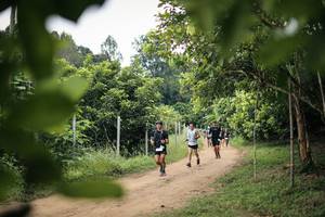 BIB: 
                            <button type="button" onclick="openModal(26822717)" class="btn btn-primary btn-sm float-right btn-popup" data-toggle="modal" data-target=".modal-high-quality">
                        <i class="fas fa-shopping-cart"></i> Add to Cart
                    </button>
                                            <button type="button" onclick="isThisMe(26822717, true)" class="btn btn-success btn-sm float-right btn-popup btn-isme hidden" data-toggle="tooltip" data-placement="bottom" title="นี่คือรูปของคุณใช่ไหม คลิกที่นี่เพื่อเอาเข้าอัลบั้ม">
                        <i class="fas fa-plus"></i> Add to album
                    </button>
                    <button type="button" onclick="isThisMe(26822717, false)" class="btn btn-warning btn-sm float-right btn-popup btn-isnotme hidden">
                        <i class="fas fa-ban"></i> Remove from album
                    </button>