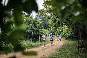 BIB: 
                            <button type="button" onclick="openModal(26824651)" class="btn btn-primary btn-sm float-right btn-popup" data-toggle="modal" data-target=".modal-high-quality">
                        <i class="fas fa-shopping-cart"></i> Add to Cart
                    </button>
                                            <button type="button" onclick="isThisMe(26824651, true)" class="btn btn-success btn-sm float-right btn-popup btn-isme hidden" data-toggle="tooltip" data-placement="bottom" title="นี่คือรูปของคุณใช่ไหม คลิกที่นี่เพื่อเอาเข้าอัลบั้ม">
                        <i class="fas fa-plus"></i> Add to album
                    </button>
                    <button type="button" onclick="isThisMe(26824651, false)" class="btn btn-warning btn-sm float-right btn-popup btn-isnotme hidden">
                        <i class="fas fa-ban"></i> Remove from album
                    </button>