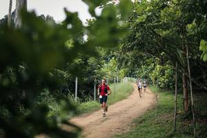 BIB: 
                            <button type="button" onclick="openModal(26821109)" class="btn btn-primary btn-sm float-right btn-popup" data-toggle="modal" data-target=".modal-high-quality">
                        <i class="fas fa-shopping-cart"></i> Add to Cart
                    </button>
                                            <button type="button" onclick="isThisMe(26821109, true)" class="btn btn-success btn-sm float-right btn-popup btn-isme hidden" data-toggle="tooltip" data-placement="bottom" title="นี่คือรูปของคุณใช่ไหม คลิกที่นี่เพื่อเอาเข้าอัลบั้ม">
                        <i class="fas fa-plus"></i> Add to album
                    </button>
                    <button type="button" onclick="isThisMe(26821109, false)" class="btn btn-warning btn-sm float-right btn-popup btn-isnotme hidden">
                        <i class="fas fa-ban"></i> Remove from album
                    </button>