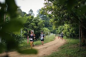 BIB: 
                            <button type="button" onclick="openModal(26822139)" class="btn btn-primary btn-sm float-right btn-popup" data-toggle="modal" data-target=".modal-high-quality">
                        <i class="fas fa-shopping-cart"></i> Add to Cart
                    </button>
                                            <button type="button" onclick="isThisMe(26822139, true)" class="btn btn-success btn-sm float-right btn-popup btn-isme hidden" data-toggle="tooltip" data-placement="bottom" title="นี่คือรูปของคุณใช่ไหม คลิกที่นี่เพื่อเอาเข้าอัลบั้ม">
                        <i class="fas fa-plus"></i> Add to album
                    </button>
                    <button type="button" onclick="isThisMe(26822139, false)" class="btn btn-warning btn-sm float-right btn-popup btn-isnotme hidden">
                        <i class="fas fa-ban"></i> Remove from album
                    </button>