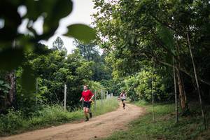 BIB: 
                            <button type="button" onclick="openModal(26832848)" class="btn btn-primary btn-sm float-right btn-popup" data-toggle="modal" data-target=".modal-high-quality">
                        <i class="fas fa-shopping-cart"></i> Add to Cart
                    </button>
                                            <button type="button" onclick="isThisMe(26832848, true)" class="btn btn-success btn-sm float-right btn-popup btn-isme hidden" data-toggle="tooltip" data-placement="bottom" title="นี่คือรูปของคุณใช่ไหม คลิกที่นี่เพื่อเอาเข้าอัลบั้ม">
                        <i class="fas fa-plus"></i> Add to album
                    </button>
                    <button type="button" onclick="isThisMe(26832848, false)" class="btn btn-warning btn-sm float-right btn-popup btn-isnotme hidden">
                        <i class="fas fa-ban"></i> Remove from album
                    </button>