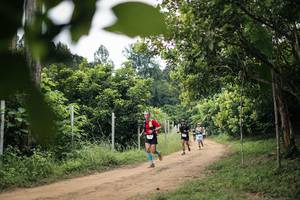 BIB: 
                            <button type="button" onclick="openModal(26826843)" class="btn btn-primary btn-sm float-right btn-popup" data-toggle="modal" data-target=".modal-high-quality">
                        <i class="fas fa-shopping-cart"></i> Add to Cart
                    </button>
                                            <button type="button" onclick="isThisMe(26826843, true)" class="btn btn-success btn-sm float-right btn-popup btn-isme hidden" data-toggle="tooltip" data-placement="bottom" title="นี่คือรูปของคุณใช่ไหม คลิกที่นี่เพื่อเอาเข้าอัลบั้ม">
                        <i class="fas fa-plus"></i> Add to album
                    </button>
                    <button type="button" onclick="isThisMe(26826843, false)" class="btn btn-warning btn-sm float-right btn-popup btn-isnotme hidden">
                        <i class="fas fa-ban"></i> Remove from album
                    </button>