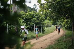 BIB: 
                            <button type="button" onclick="openModal(26829306)" class="btn btn-primary btn-sm float-right btn-popup" data-toggle="modal" data-target=".modal-high-quality">
                        <i class="fas fa-shopping-cart"></i> Add to Cart
                    </button>
                                            <button type="button" onclick="isThisMe(26829306, true)" class="btn btn-success btn-sm float-right btn-popup btn-isme hidden" data-toggle="tooltip" data-placement="bottom" title="นี่คือรูปของคุณใช่ไหม คลิกที่นี่เพื่อเอาเข้าอัลบั้ม">
                        <i class="fas fa-plus"></i> Add to album
                    </button>
                    <button type="button" onclick="isThisMe(26829306, false)" class="btn btn-warning btn-sm float-right btn-popup btn-isnotme hidden">
                        <i class="fas fa-ban"></i> Remove from album
                    </button>