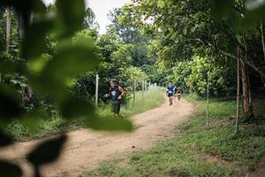 BIB: 
                            <button type="button" onclick="openModal(26830807)" class="btn btn-primary btn-sm float-right btn-popup" data-toggle="modal" data-target=".modal-high-quality">
                        <i class="fas fa-shopping-cart"></i> Add to Cart
                    </button>
                                            <button type="button" onclick="isThisMe(26830807, true)" class="btn btn-success btn-sm float-right btn-popup btn-isme hidden" data-toggle="tooltip" data-placement="bottom" title="นี่คือรูปของคุณใช่ไหม คลิกที่นี่เพื่อเอาเข้าอัลบั้ม">
                        <i class="fas fa-plus"></i> Add to album
                    </button>
                    <button type="button" onclick="isThisMe(26830807, false)" class="btn btn-warning btn-sm float-right btn-popup btn-isnotme hidden">
                        <i class="fas fa-ban"></i> Remove from album
                    </button>