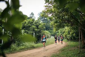 BIB: 
                            <button type="button" onclick="openModal(26822016)" class="btn btn-primary btn-sm float-right btn-popup" data-toggle="modal" data-target=".modal-high-quality">
                        <i class="fas fa-shopping-cart"></i> Add to Cart
                    </button>
                                            <button type="button" onclick="isThisMe(26822016, true)" class="btn btn-success btn-sm float-right btn-popup btn-isme hidden" data-toggle="tooltip" data-placement="bottom" title="นี่คือรูปของคุณใช่ไหม คลิกที่นี่เพื่อเอาเข้าอัลบั้ม">
                        <i class="fas fa-plus"></i> Add to album
                    </button>
                    <button type="button" onclick="isThisMe(26822016, false)" class="btn btn-warning btn-sm float-right btn-popup btn-isnotme hidden">
                        <i class="fas fa-ban"></i> Remove from album
                    </button>