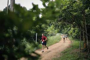 BIB: 
                            <button type="button" onclick="openModal(26821107)" class="btn btn-primary btn-sm float-right btn-popup" data-toggle="modal" data-target=".modal-high-quality">
                        <i class="fas fa-shopping-cart"></i> Add to Cart
                    </button>
                                            <button type="button" onclick="isThisMe(26821107, true)" class="btn btn-success btn-sm float-right btn-popup btn-isme hidden" data-toggle="tooltip" data-placement="bottom" title="นี่คือรูปของคุณใช่ไหม คลิกที่นี่เพื่อเอาเข้าอัลบั้ม">
                        <i class="fas fa-plus"></i> Add to album
                    </button>
                    <button type="button" onclick="isThisMe(26821107, false)" class="btn btn-warning btn-sm float-right btn-popup btn-isnotme hidden">
                        <i class="fas fa-ban"></i> Remove from album
                    </button>